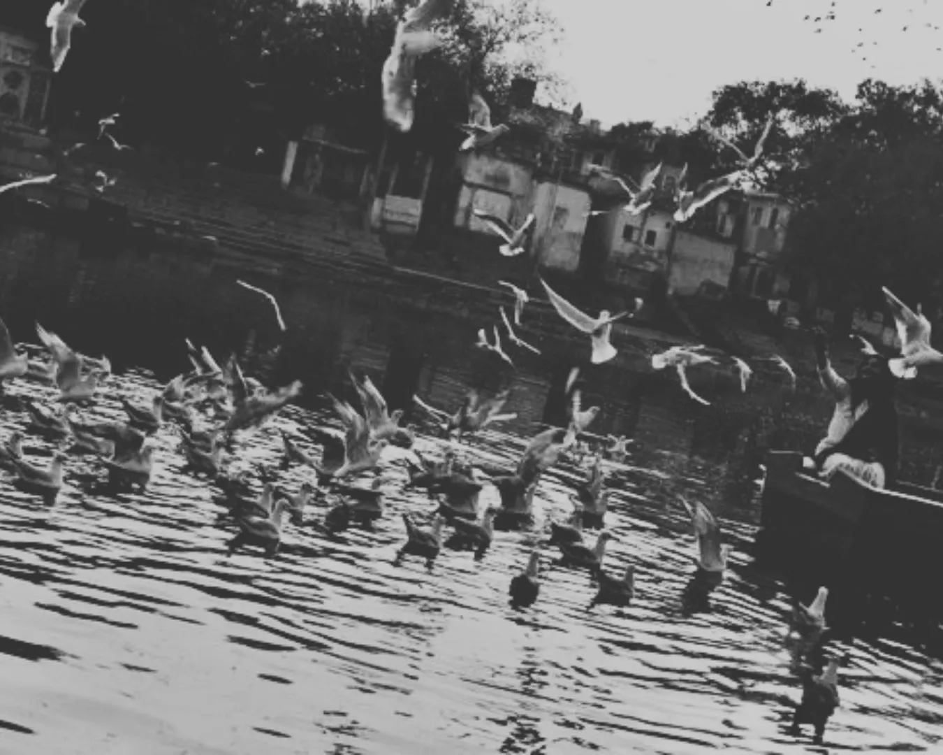 Boating-at-Yamuna-Ghat-DelhiSnap