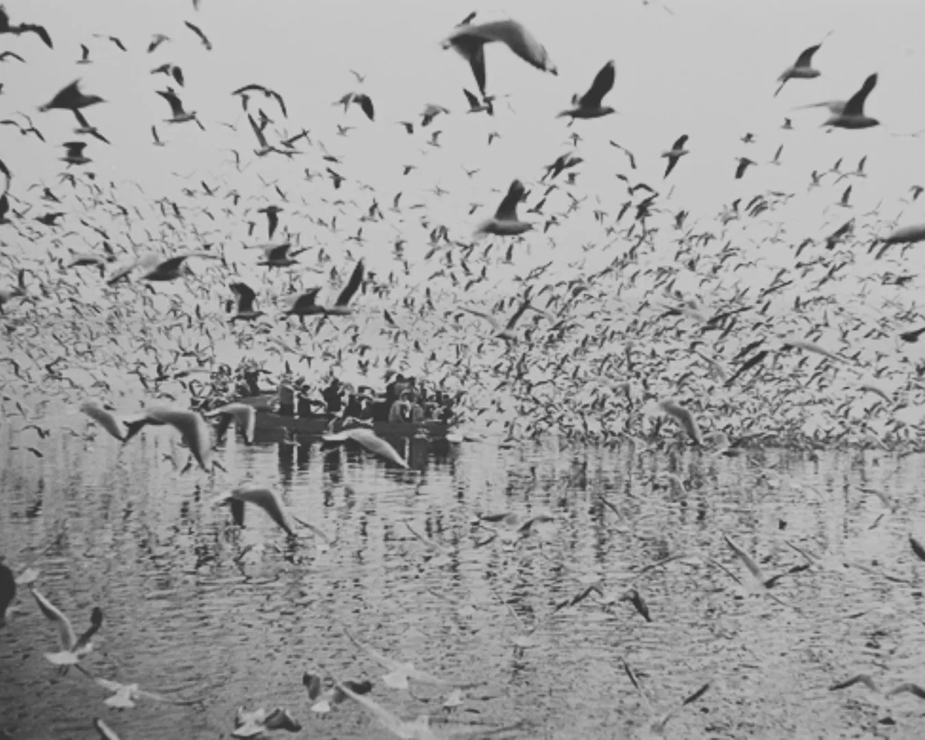 Candid Moments at Yamuna Ghat-DelhiSnap
