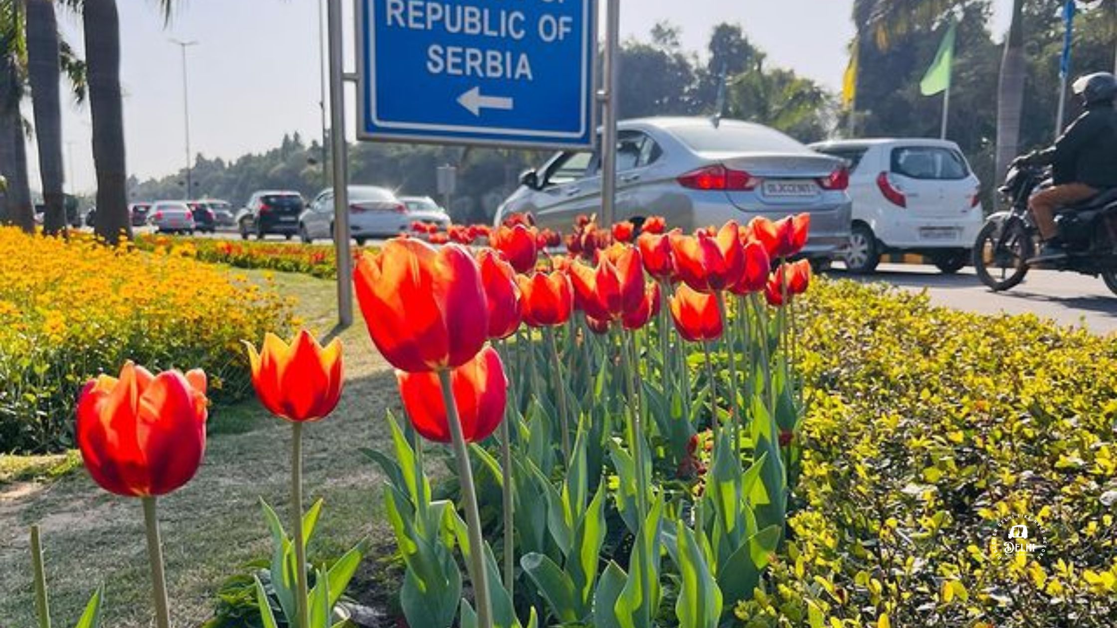 Shantipath Tulip Festival 2023