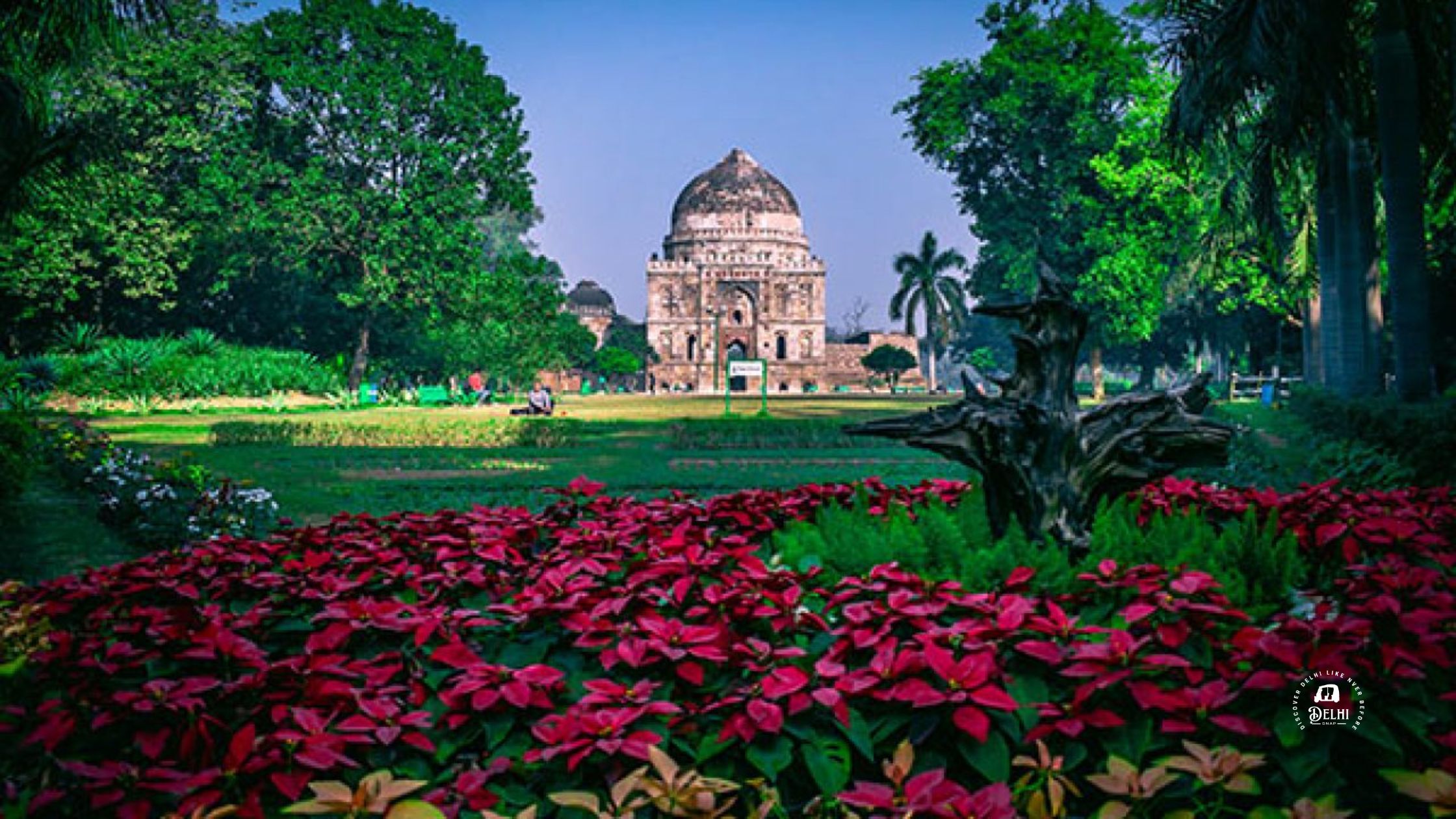 the-lodi-garden-a-place-to-find-serenity-in-the-city-delhisnap