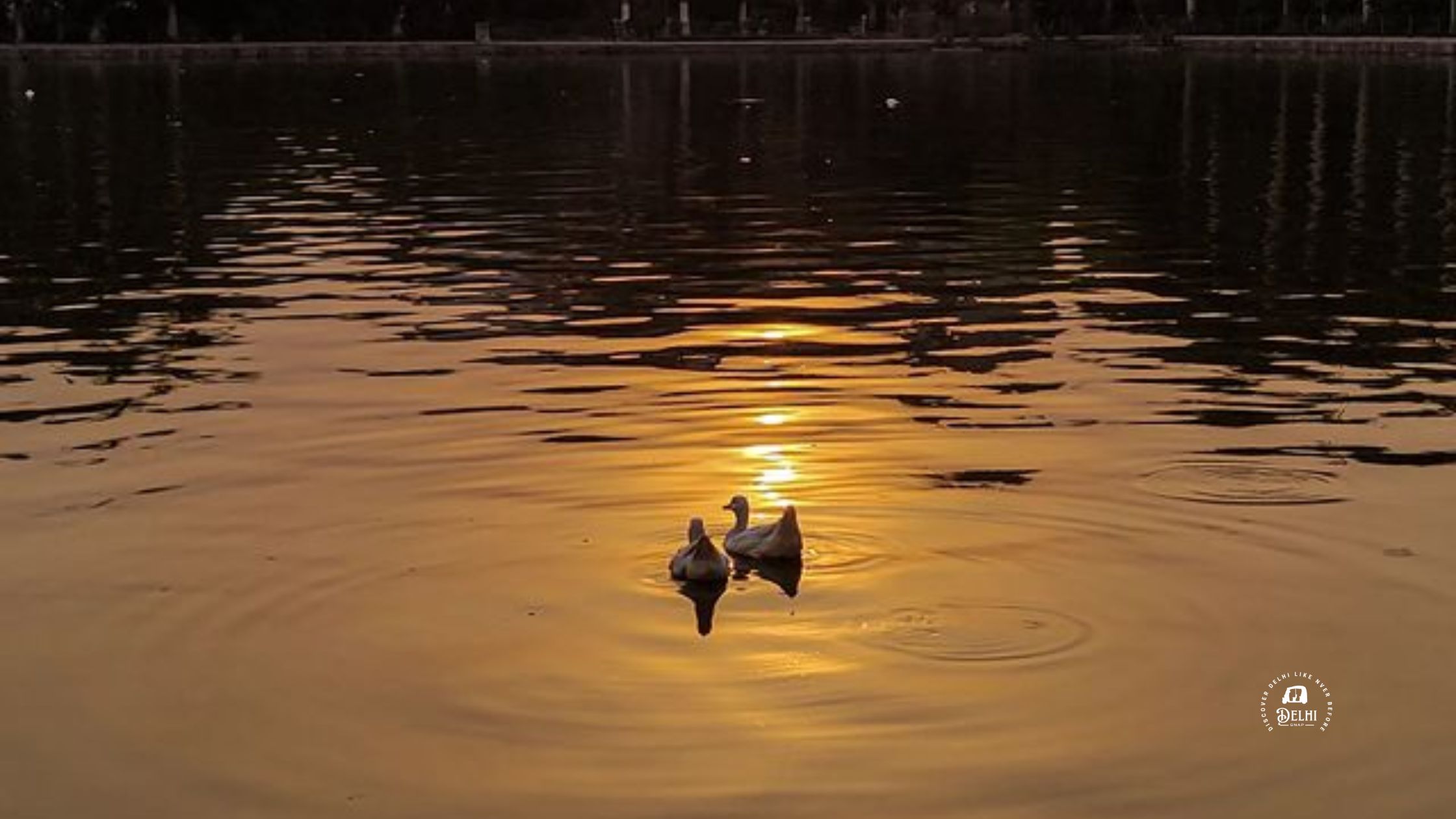 Naini Lake