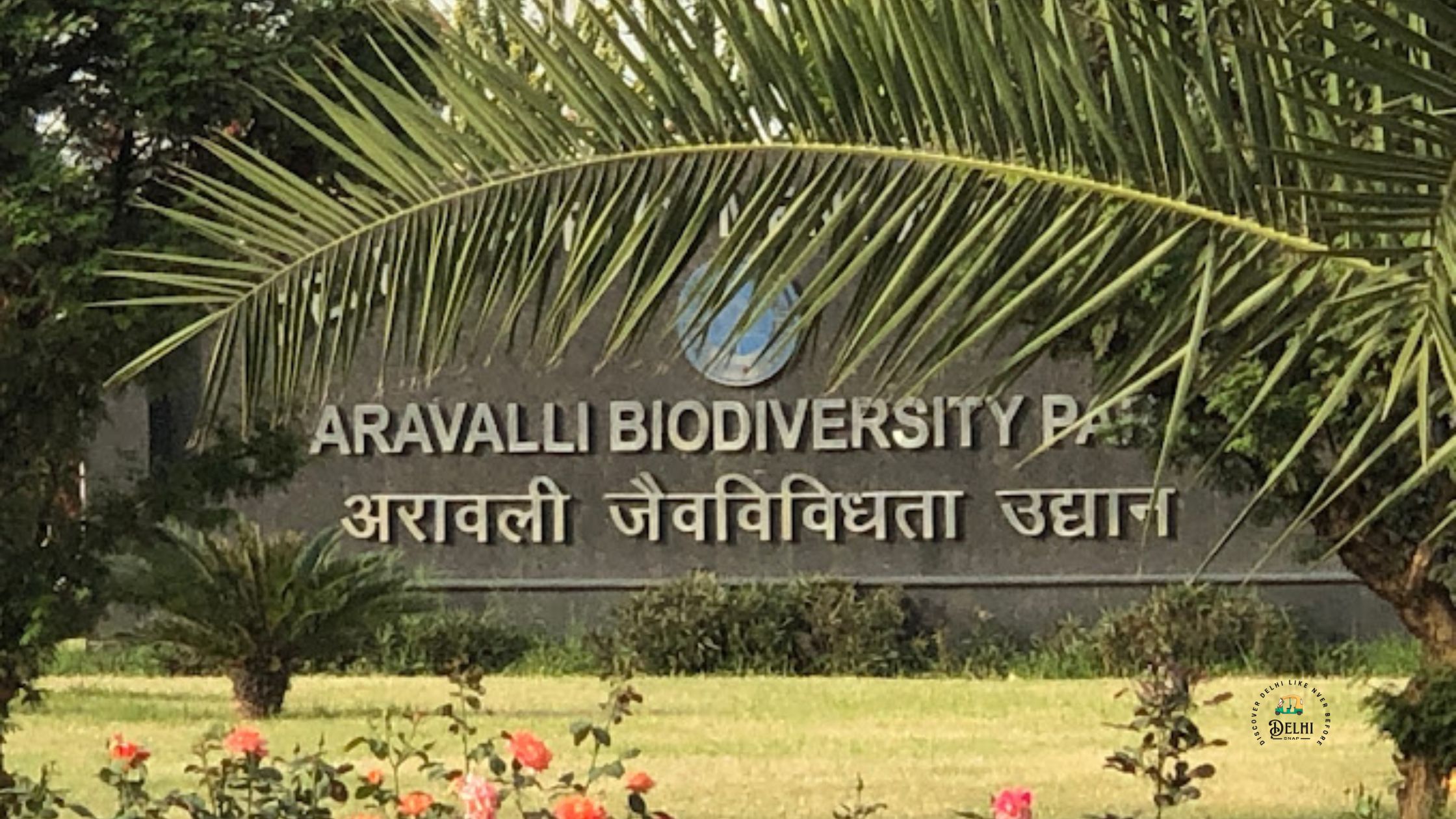 Aravali Biodiversity Park