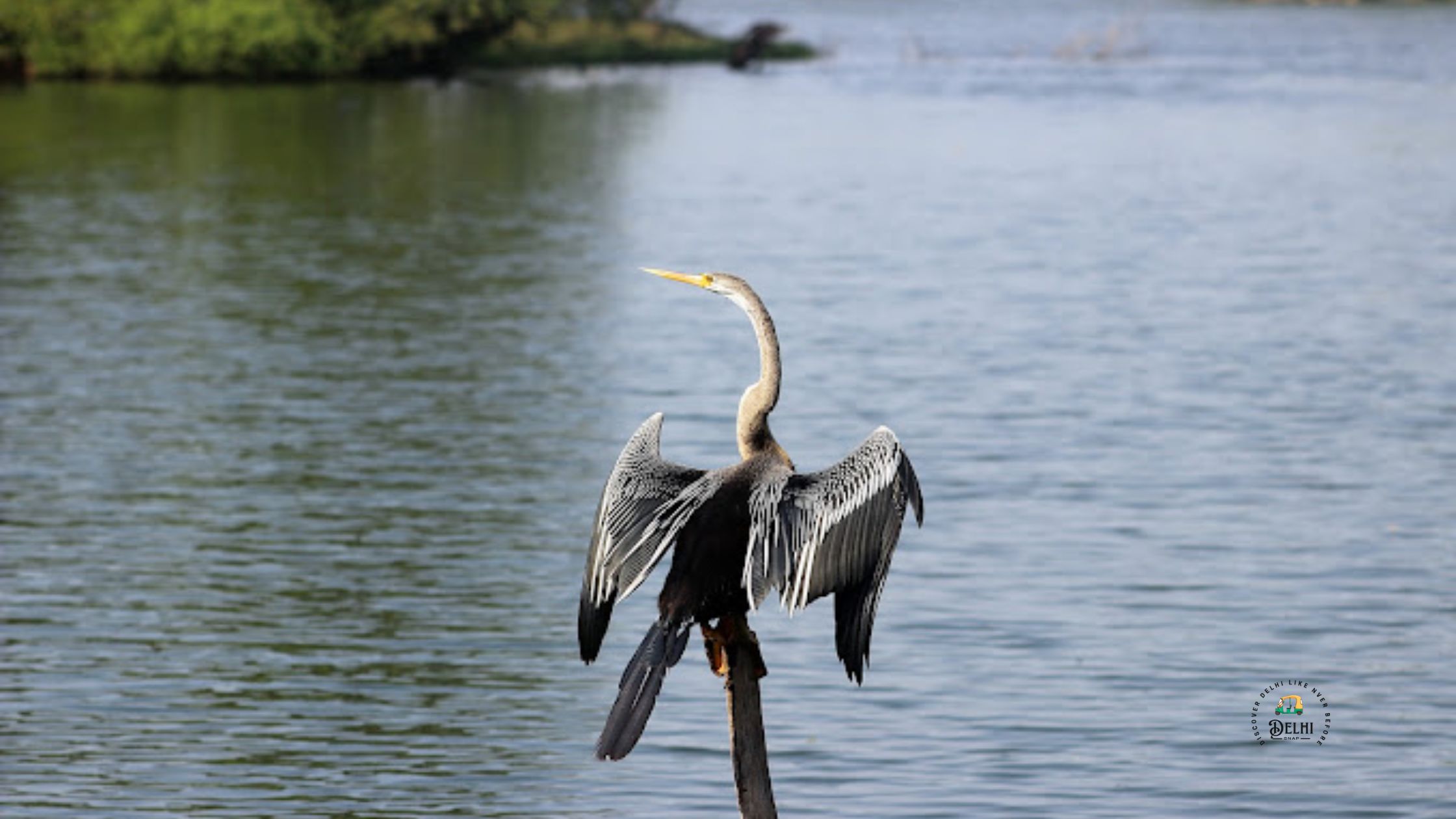 Keoladeo National Park