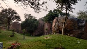 Sanjay Van: A Journey into Delhi Green Sanctuary - DelhiSnap