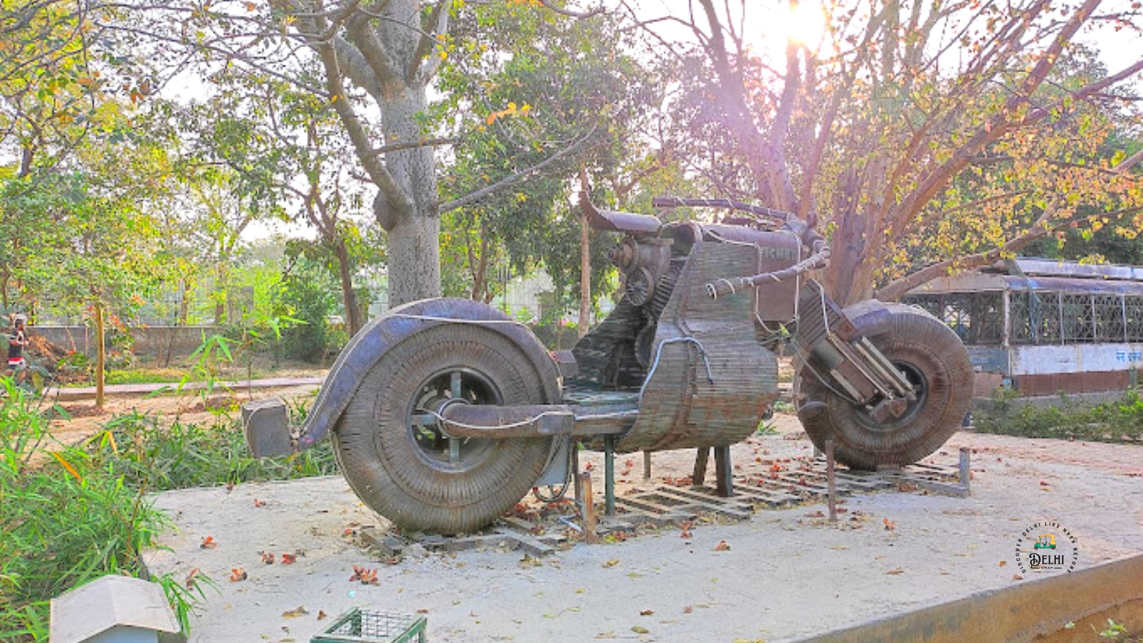 Netaji Subhash Chandra Bose Park in Sector 14