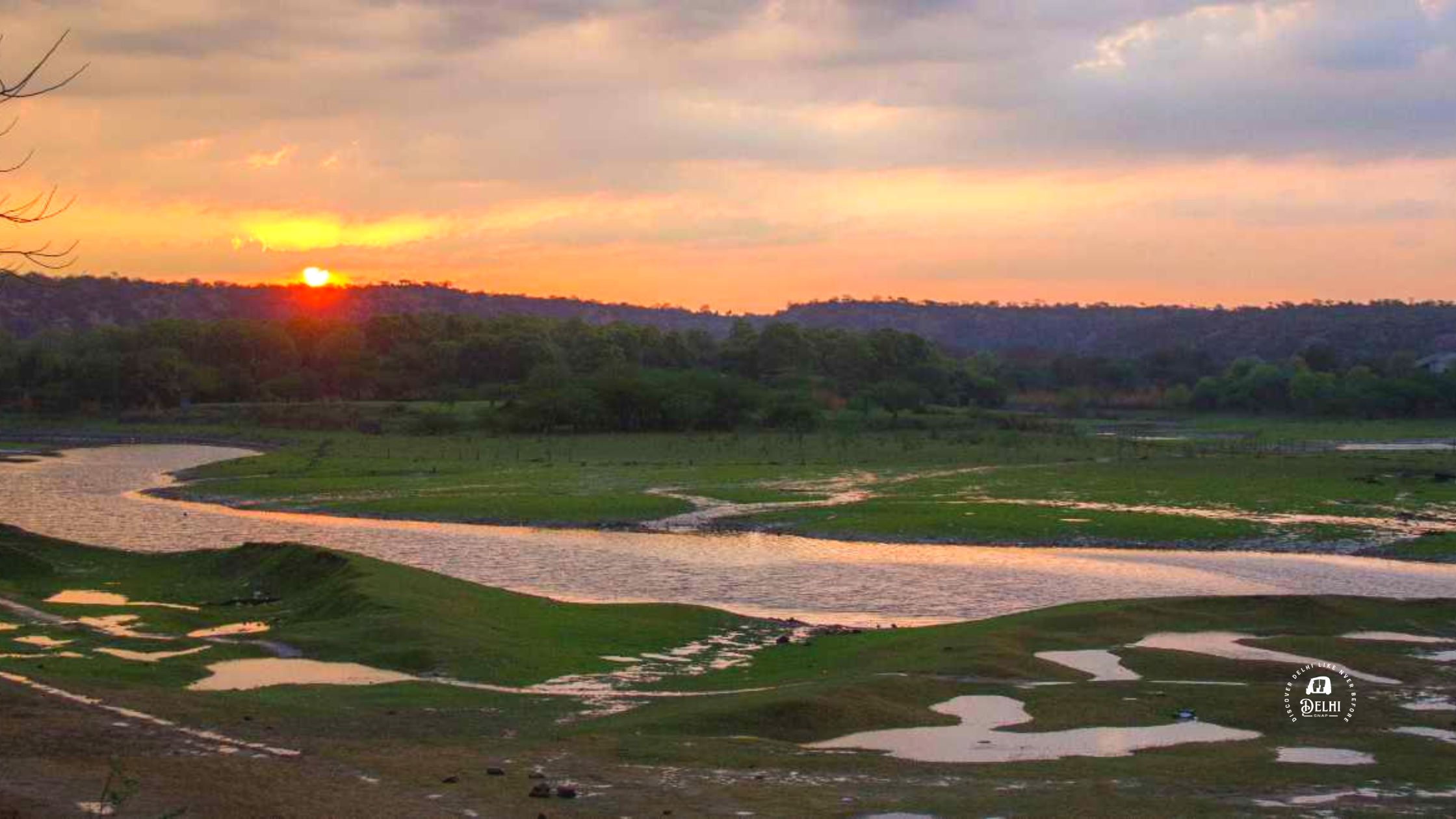 Damdama Lake in Gurgaon: Best Winter Picnic - DelhiSnap