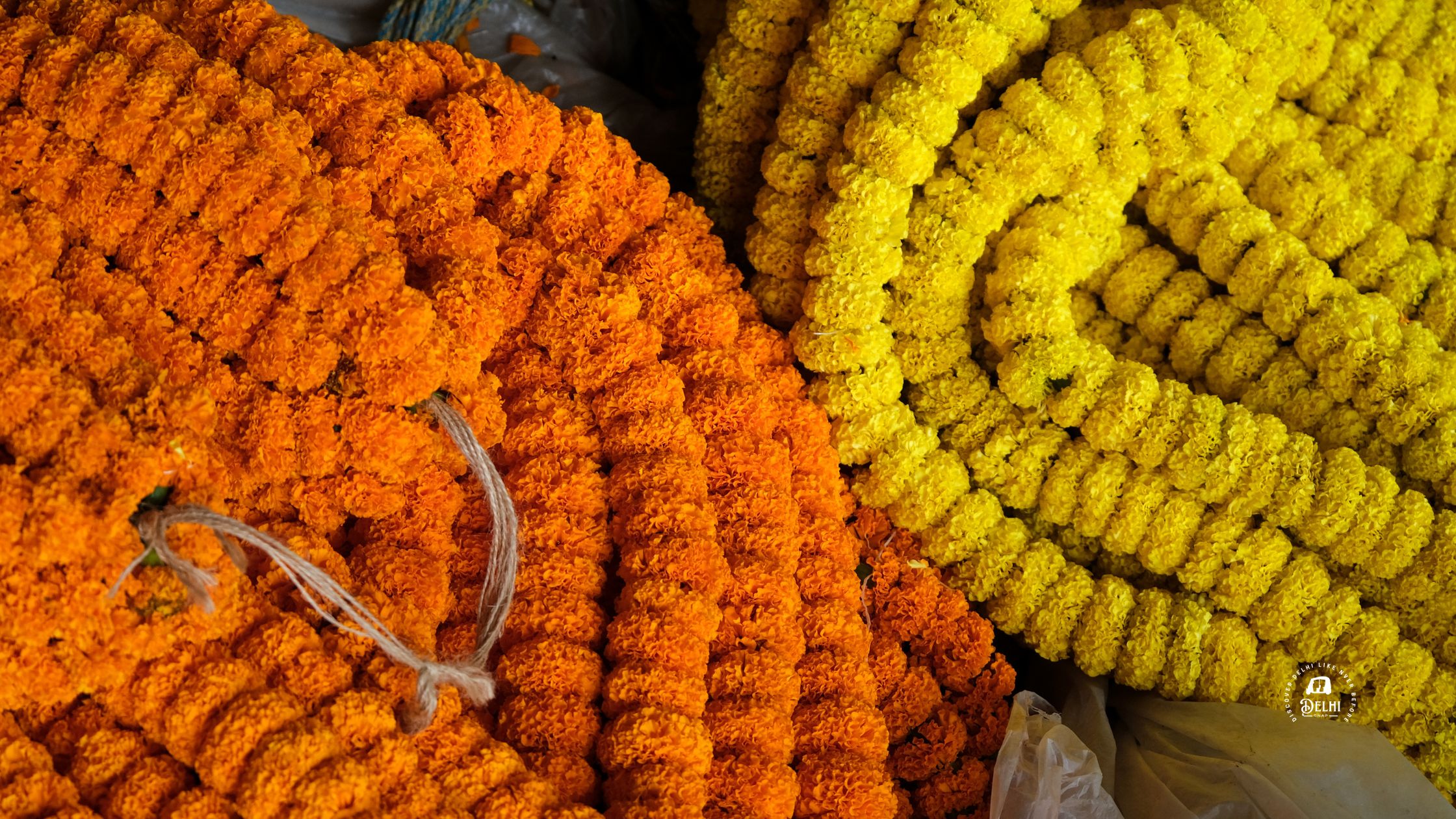 Ghazipur Flower Market