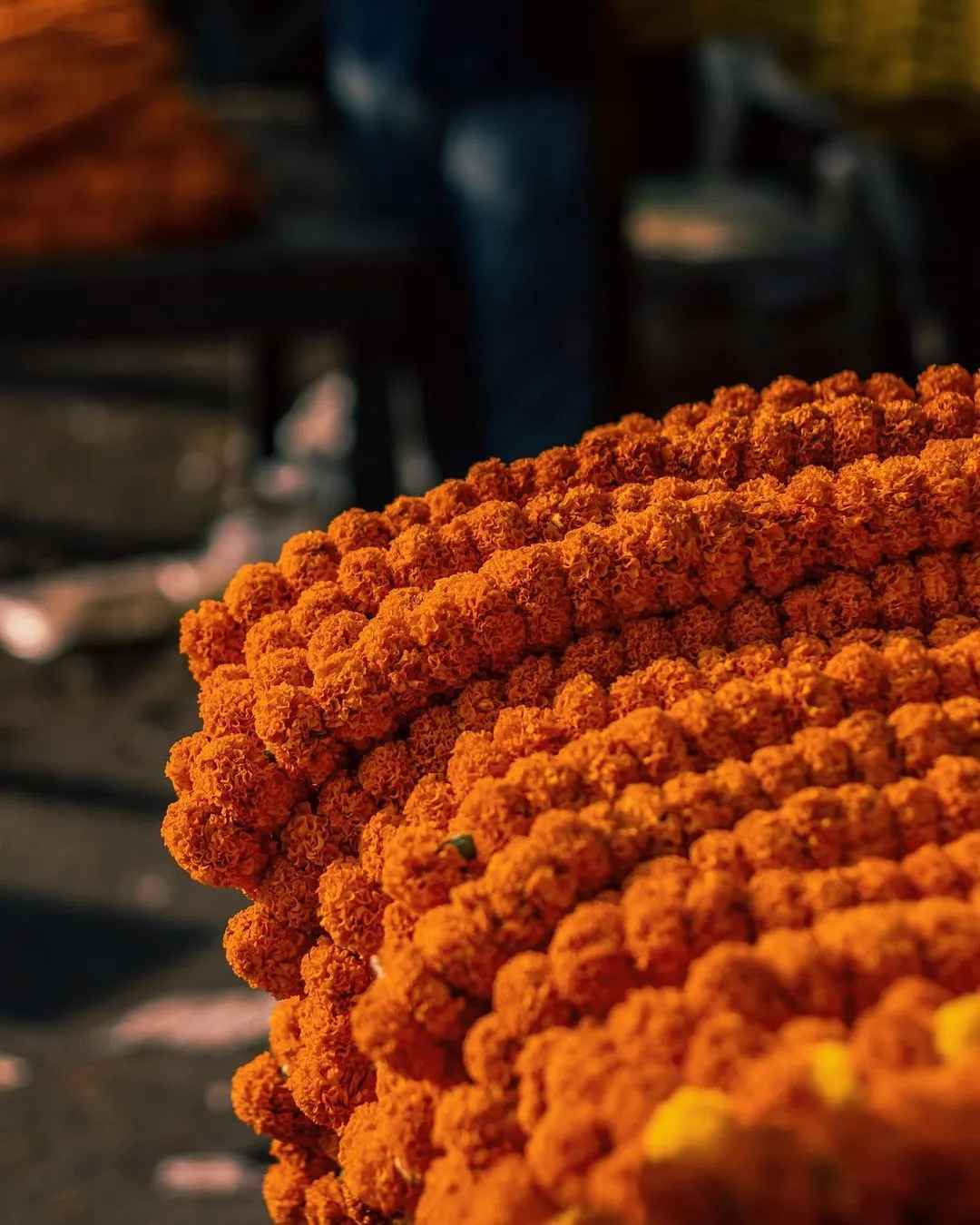 Ghazipur Flower Market-DelhiSnap