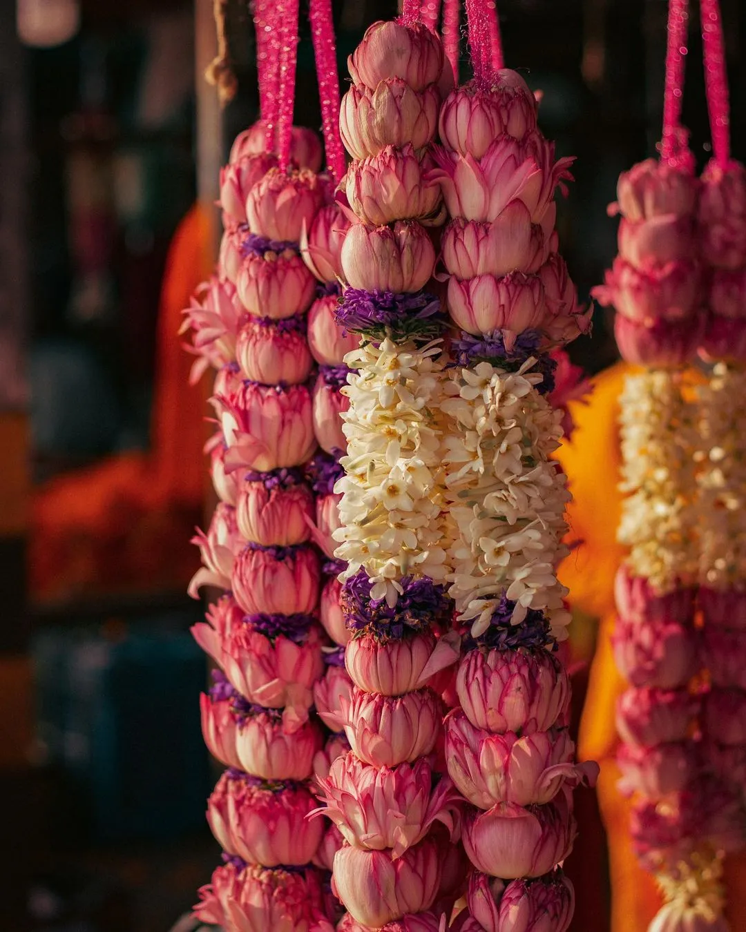 Ghazipur Mandi-DelhiSnap