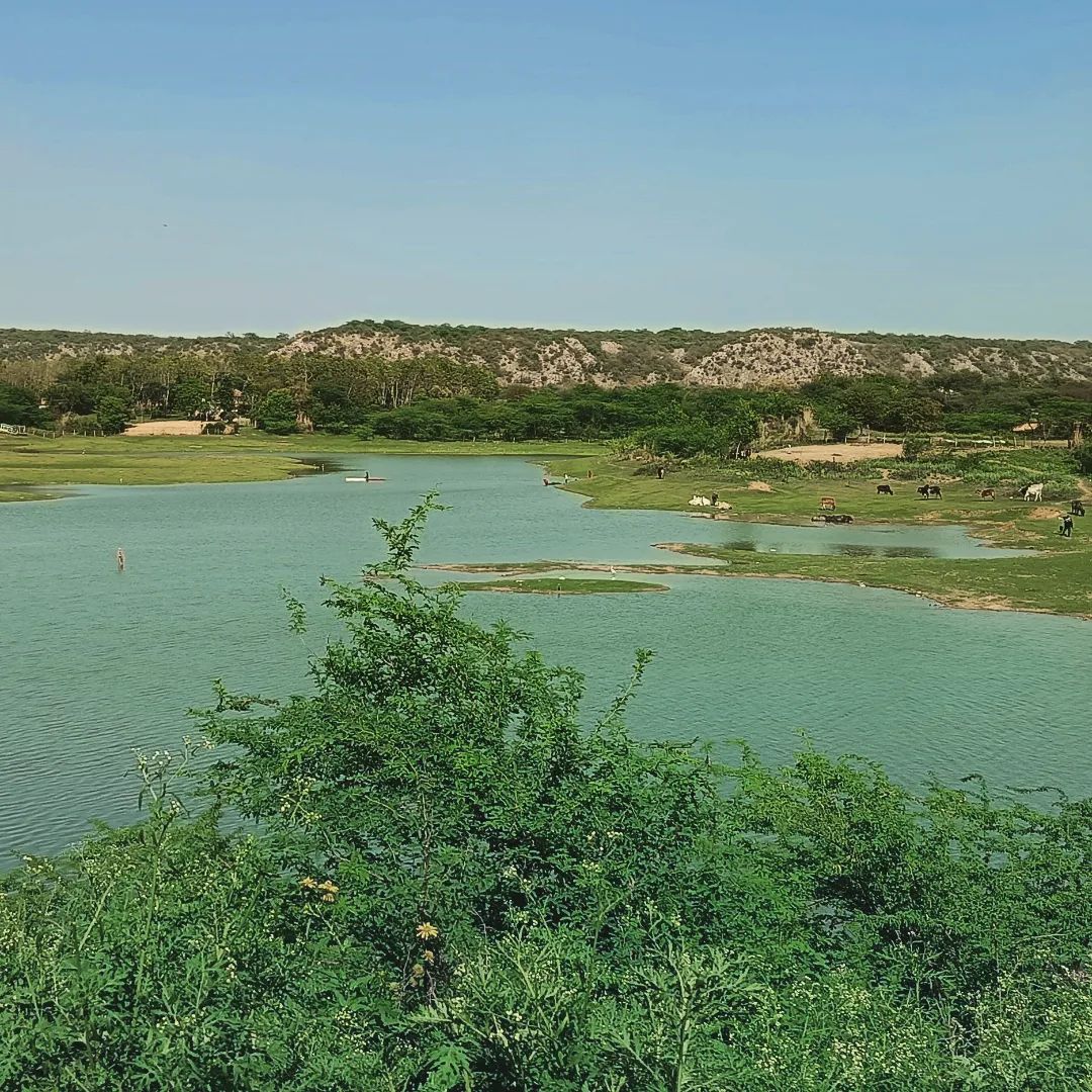 Things to do in Damdama Lake-DelhiSnap