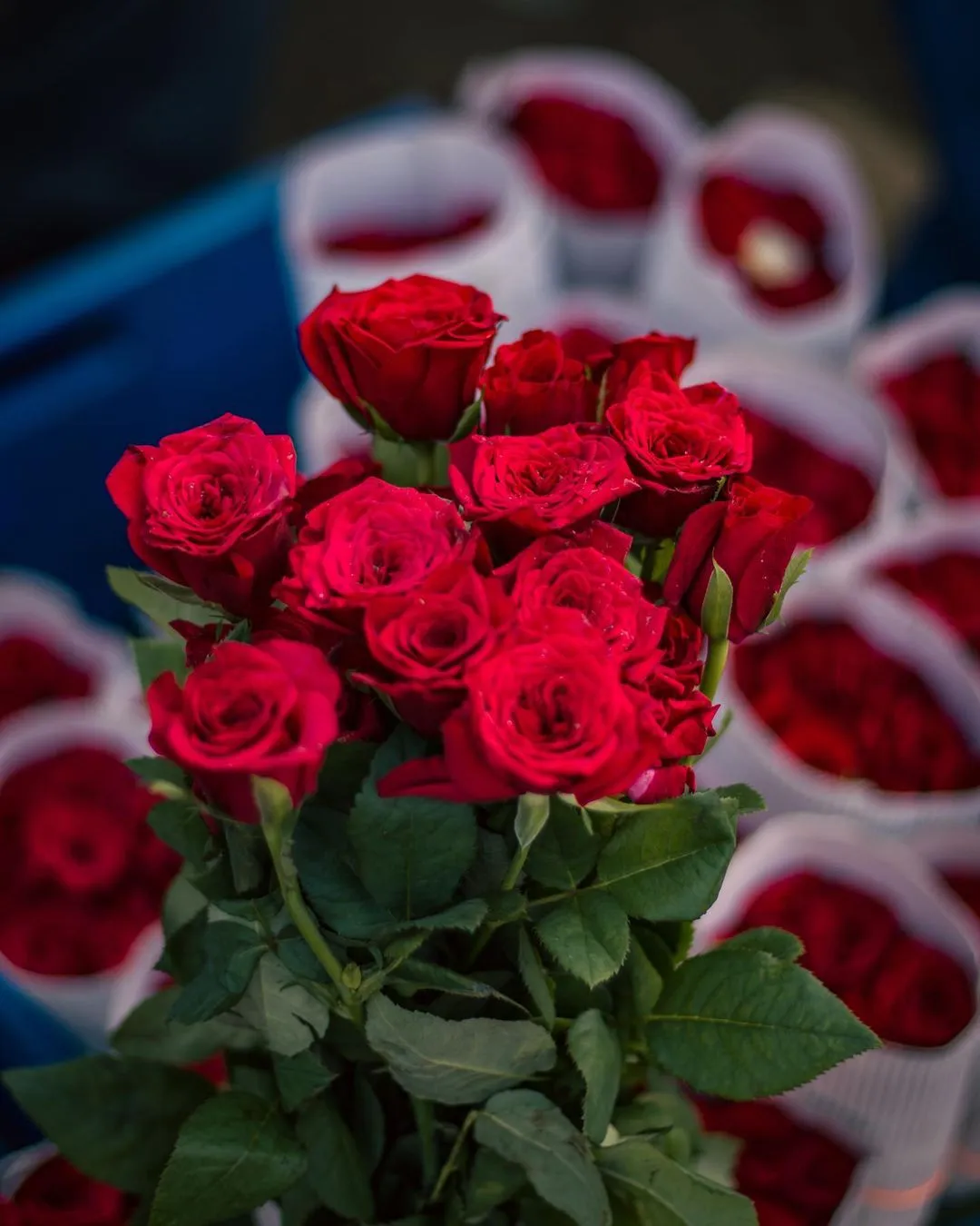 Wholesale Flower Market in Delhi Ghazipur-DelhiSnap