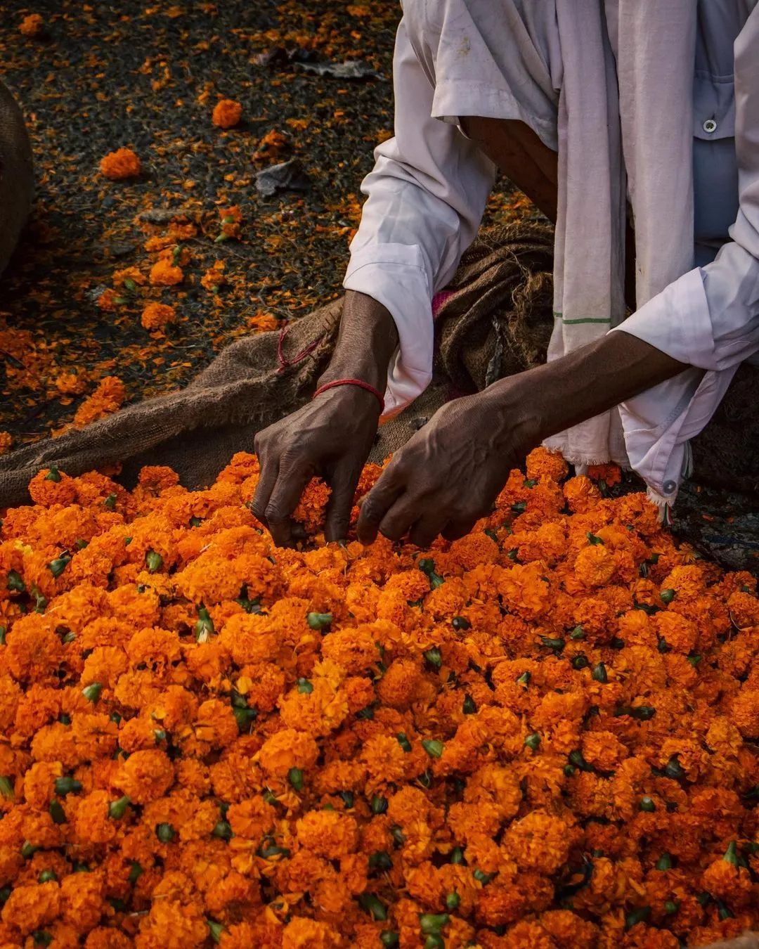 गाज़ीपुर दिल्ली-DelhiSnap