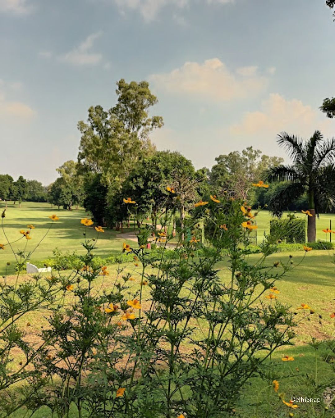 Army Golf Course Dhaula Kuan-DelhiSnap