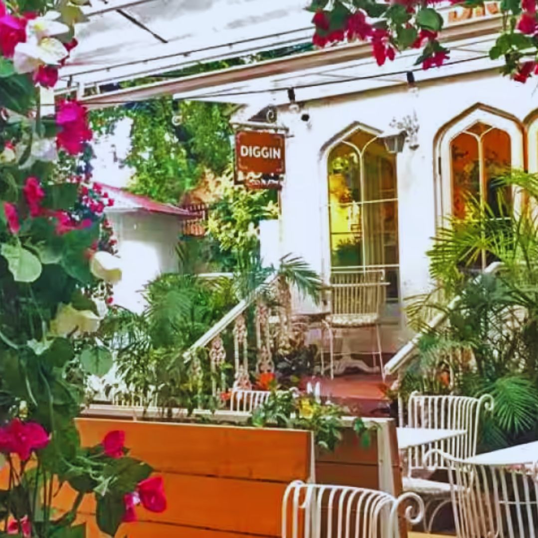 Diggin chankayapuri-DelhiSnap