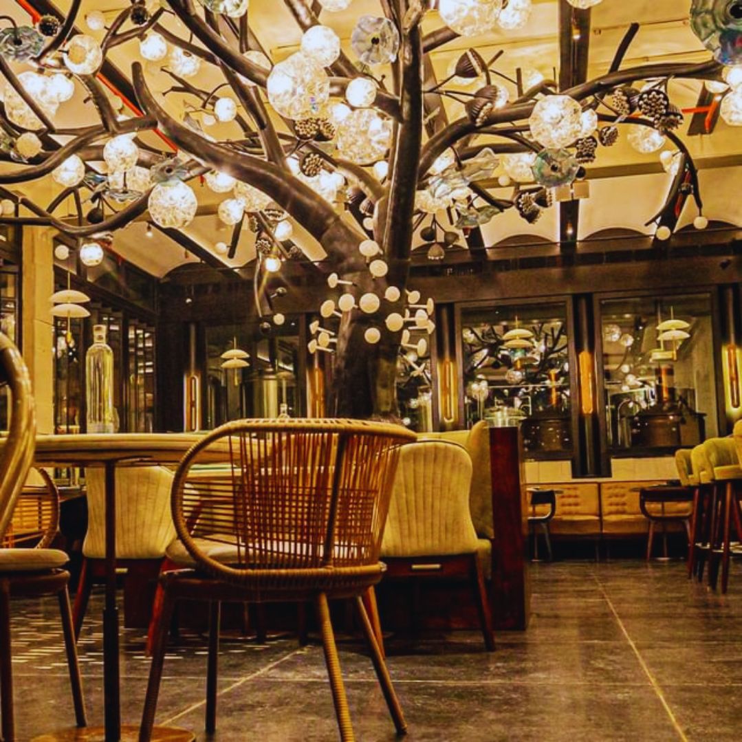 Kakapo Restaurant-DelhiSnap