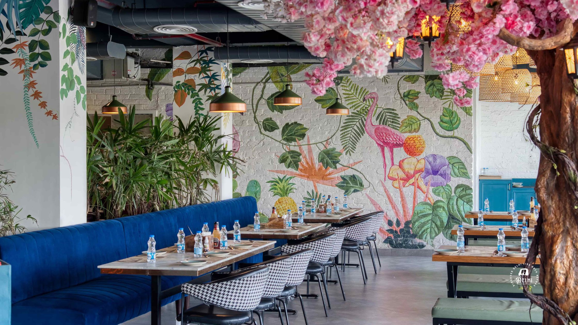 Spezia Bistro in noida